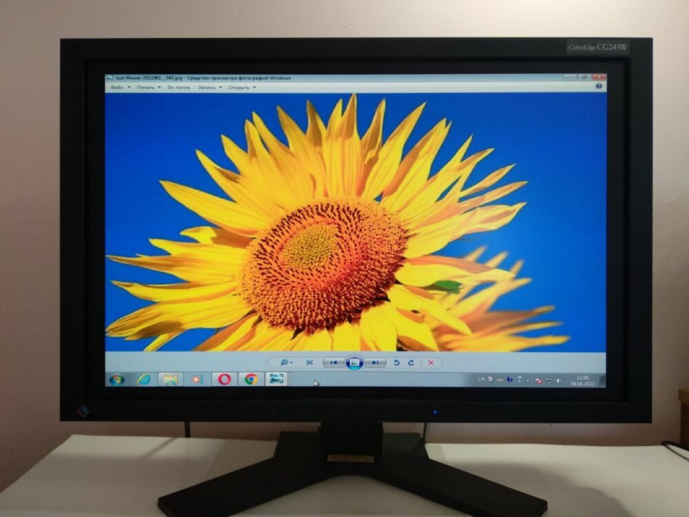 Купить монитор Б-класс Eizo ColorEdge CG243w / 24.1