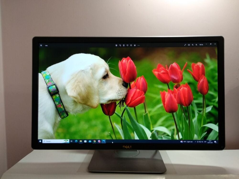 Купити монітор Dell P2414HB / 23.8