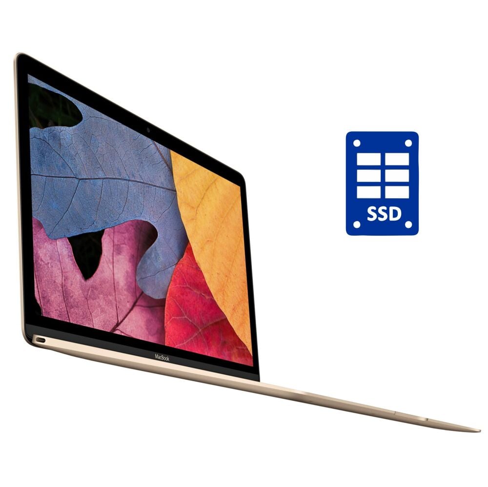 Купити нетбук Б-клас Apple MacBook 12 A1534 2017 / 12
