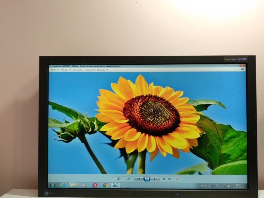 EIZO ColorEdge CG243W 24.1型1920×1200 Купить монитор Б-класс Eizo ColorEdge CG243w / 24.1