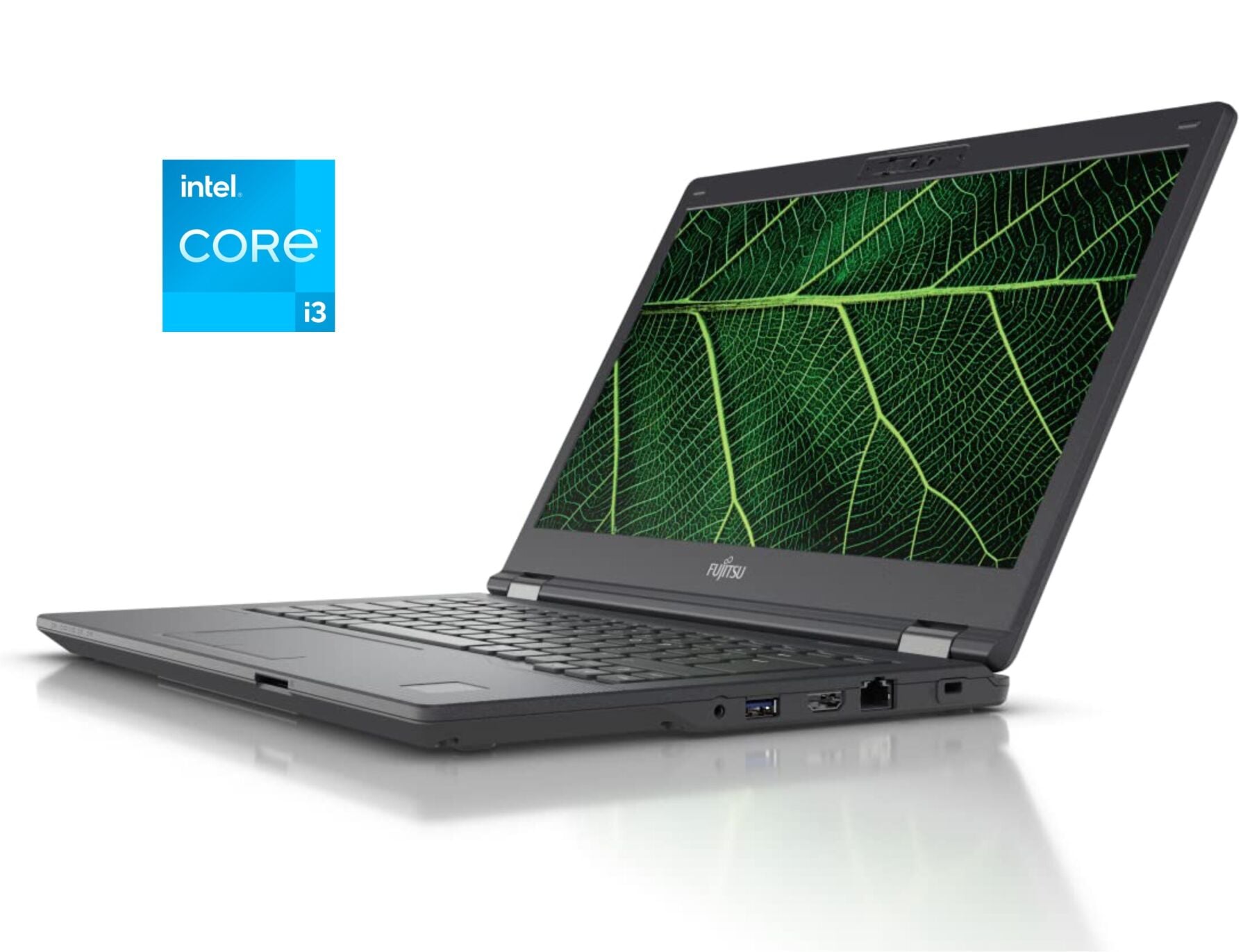 Купить ноутбук Fujitsu LifeBook E5411 / 14