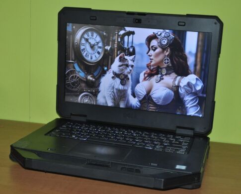 Защищенный ноутбук Б-класс Dell Latitude 5414 Rugged / 14" (1366x768) TN / Intel Core i5-6300U (2 (4) ядра по 2.4 - 3.0 GHz) / 8 GB DDR4 / 256 GB SSD / Intel HD Graphics 520 / WebCam / Wi-Fi / Bluetooth / Windows 11 Pro