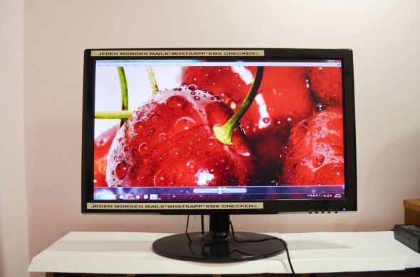 Монітор Terra 2310W / 23" (1920x1080) TN+Film LED / VGA, DVI / вбудовані динаміки