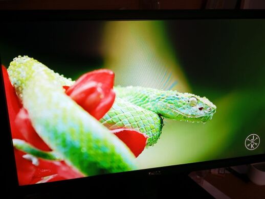 Комплект ПК: Fujitsu Esprimo E700 E85+ SFF / Intel Core i5-2400 (4 ядра по 3.1 - 3.4 GHz) / 8 GB DDR3 / 500 GB HDD / Intel HD Graphics 2000 / DVD-ROM + Монитор Dell P2412Hb / 24" (1920x1080) TN / 1x DVI, 1x VGA, 3x USB 2.0 Комплект ПК: Fujitsu Esprimo E700 E85+ SFF / Intel Core i5-2400 (4 ядра по 3.1 - 3.4 GHz) / 8 GB DDR3 / 500 GB HDD / Intel HD Graphics 2000 / DVD-ROM + Монитор Dell P2412Hb / 24" (1920x1080) TN / 1x DVI, 1x VGA, 3x USB 2.0