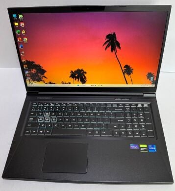 Игровой ноутбук СyberpowerPC Tracer V Gaming L17G GM7TG5R / 15.6" (1920x1080) IPS / Intel Core i7-11800H (8 (16) ядер по 2.3 - 4.6 GHz) / 16 GB DDR4 / 512 GB SSD / nVidia GeForce GTX 1650, 4 GB GDDR5, 128-bit / WebCam