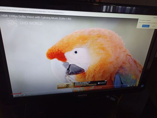 Монитор Б-класс Philips E-Line 247E3LP / 24" (1920x1080) TN / 2x HDMI, 1x VGA