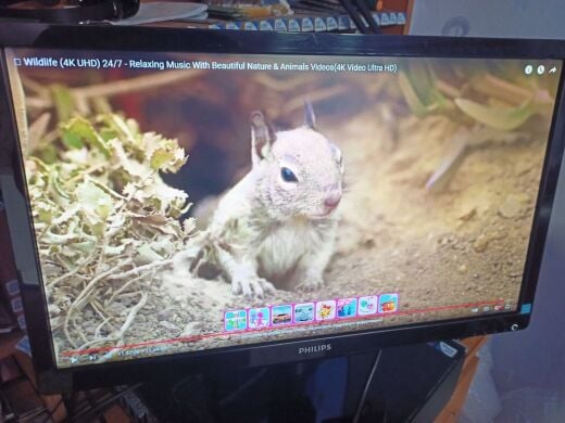 Монітор Philips V-line 236V4L / 23" (1920x1080) TN / VGA, DVI 