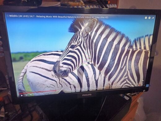 Монітор Philips V-line 236V4L / 23" (1920x1080) TN / VGA, DVI 