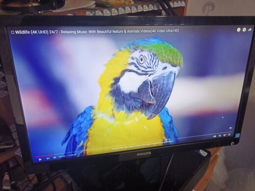 Монітор Philips V-line 236V4L / 23" (1920x1080) TN / VGA, DVI 