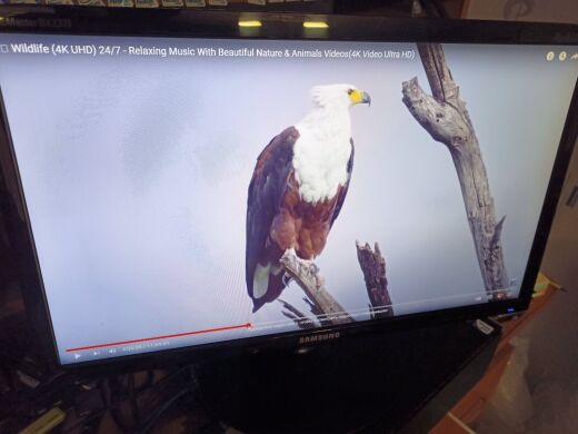 Монітор Samsung BX2331 / 23" (1920x1080) TN / 2 x HDMI, VGA 