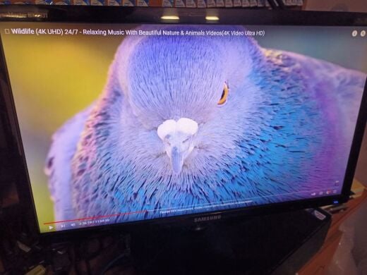 Монітор Samsung BX2331 / 23" (1920x1080) TN / 2 x HDMI, VGA 