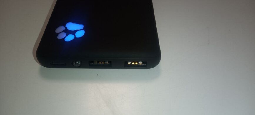 Новый Power Bank INIU PowerPaw Slim BI-B41 / 10000 mAh / 20W / 5V/3A