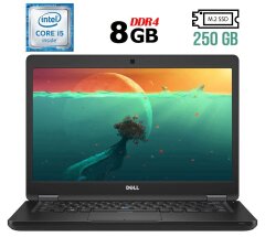 Ноутбук Dell Latitude 5480 / 14" (1920x1080) IPS / Intel Core i5-6440HQ (4 ядра по 2.6 - 3.5 GHz) / 8 GB DDR4 / 250 GB SSD M.2 / Intel HD Graphics 530 / WebCam / USB 3.1 / HDMI / Windows 10 лицензия