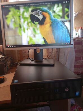 Комплект ПК: HP ProDesk 600 G1 SFF / Intel Core i5-4670 (4 ядра по 3.4 - 3.8 GHz) / 8 GB DDR3 / 120 GB SSD / Intel HD Graphics 4600 / DVD-RW + Монітор Dell Professional P2213t / 22" (1680x1050) TN / 1x DP, 1x DVI, 1x VGA, 3x USB 2.0