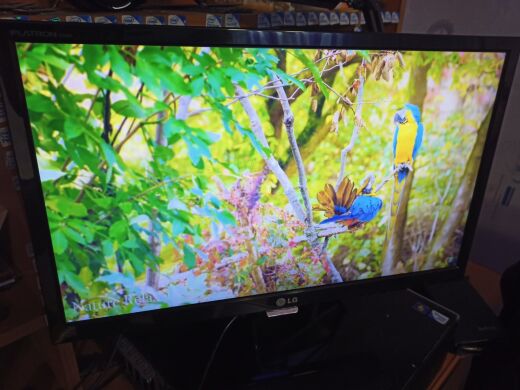 Монитор LG E60 E2260S-PN / 21.5" (1920x1080) TN / VGA Монитор LG E60 E2260S-PN / 21.5" (1920x1080) TN / VGA