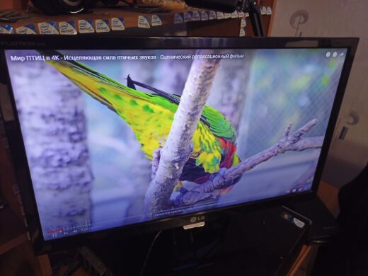 Монитор LG E60 E2260S-PN / 21.5" (1920x1080) TN / VGA Монитор LG E60 E2260S-PN / 21.5" (1920x1080) TN / VGA