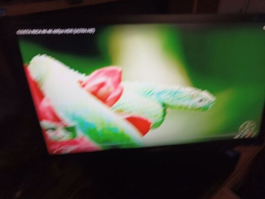 Монитор Samsung SyncMaster E2220N / 22" (1920x1080) TN / VGA / VESA 75x75