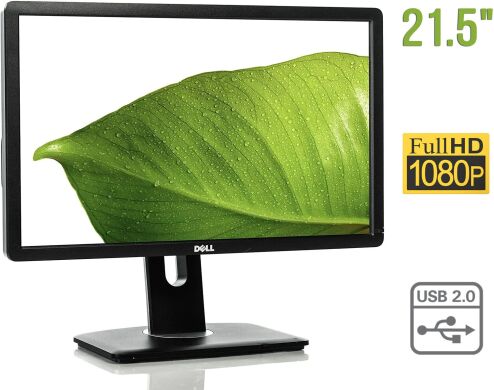 Монитор Dell Professional P2211Hb / 21.5" (1920x1080) TN / DVI, VGA, USB Монитор Dell Professional P2211Hb / 21.5" (1920x1080) TN / DVI, VGA, USB
