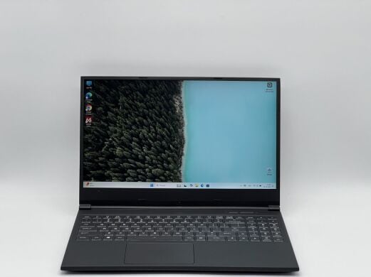 Ігровий ноутбук Maingear Vector MG-VCTR001 / 15.6" (1920x1080) IPS / Intel Core i7-9750H (6 (12) ядра по 2.6 - 4.5 GHz) / 16 GB DDR4 / 1000 GB SSD / nVidia GeForce GTX 1660 Ti, 6 GB GDDR6, 192-bit / WebCam