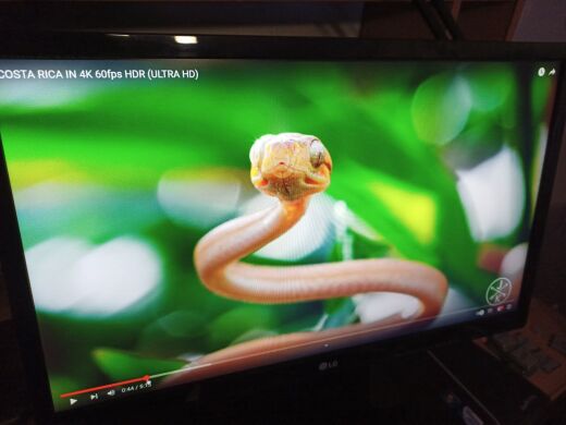 Монитор Б-класс LG 22MP48A-P / 22'' (1920x1080) IPS / 1x VGA