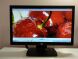 Монітор НР LE2002x / 20" (1600x900) TN/1x DVI, 1x VGA купити