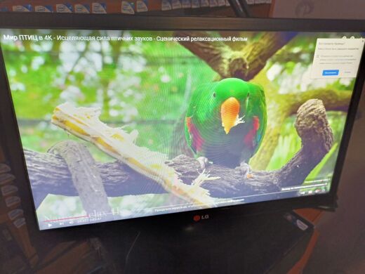 Монітор LG 22M35A-B / 21.5" (1920x1080) TN+film / VGA / VESA 75x75 