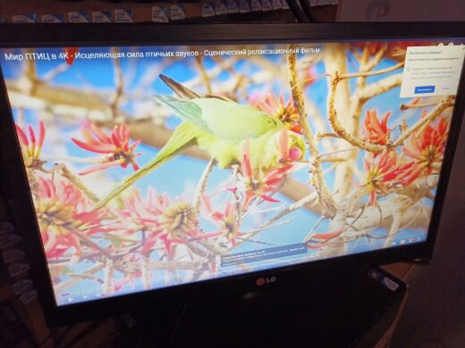 Монітор LG 22M35A-B / 21.5" (1920x1080) TN+film / VGA / VESA 75x75 