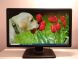 Монитор Б-класс Dell P2212H / 21.5" (1920x1080) TN / VGA, DVI купить