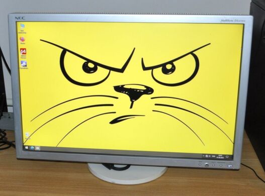 Монітор Б-клас NEC MultiSync EA241WM / 24'' (1920x1200) TN / VGA, DVI, USB 2.0 / Вбудовані колонки 2x1W / VESA 100x100 + Кабелі підключення Монітор Б-клас NEC MultiSync EA241WM / 24'' (1920x1200) TN / VGA, DVI, USB 2.0 / Вбудовані колонки 2x1W / VESA 100x100 + Кабелі підключення