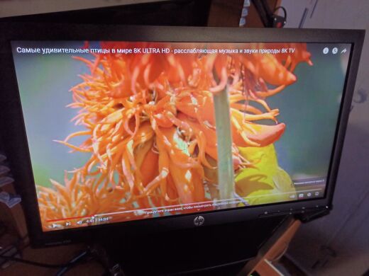 Монітор Б-клас HP ProDisplay P201 / 20" (1600x900) TN / VGA, DVI 