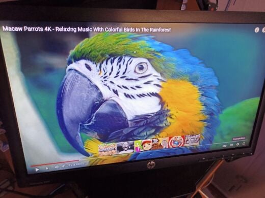 Монітор Б-клас HP ProDisplay P201 / 20" (1600x900) TN / VGA, DVI 