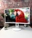 Монітор Fujitsu B24-8 TE Pro / 24" (1920x1080) IPS / VGA, DVI, DisplayPort, USB-Hub, Audio / Вбудовані колонки 2x 2W / VESA 100x100 купити