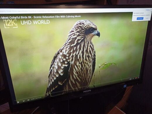 Монітор Б-клас Philips SmartImage Lite 234E5QSB/01 / 23" (1920x1080) IPS / 1x VGA, 1x DVI / VESA 100X100