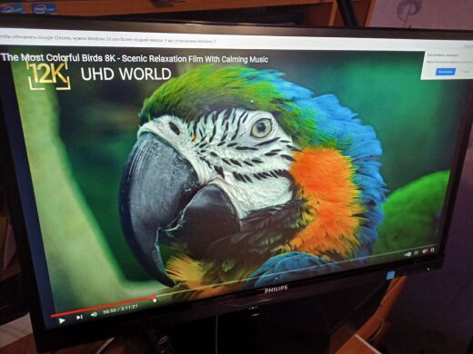 Монітор Б-клас Philips SmartImage Lite 234E5QSB/01 / 23" (1920x1080) IPS / 1x VGA, 1x DVI / VESA 100X100