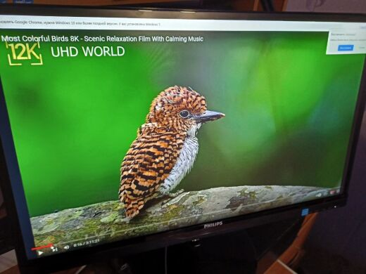 Монітор Б-клас Philips SmartImage Lite 234E5QSB/01 / 23" (1920x1080) IPS / 1x VGA, 1x DVI / VESA 100X100