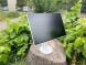 Монітор EIZO FlexScan EV2456 White / 24" (1920x1200) IPS / DisplayPort, HDMI, DVI, VGA, USB 3.1, Audio / VESA 100x100 / Вбудовані колонки 2x 1W купити