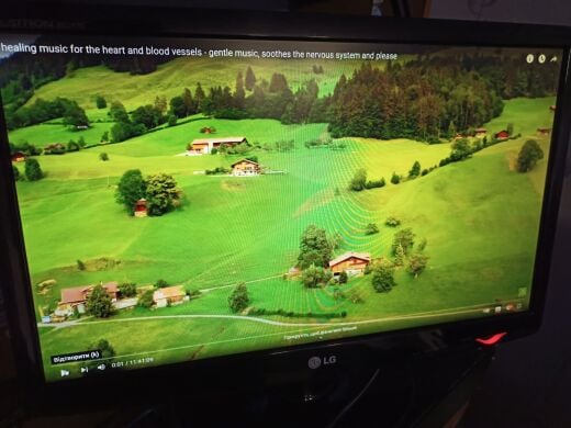 Монитор LG W2243S-PF / 22" (1920x1080) TN / VGA / VESA 100x100 Монитор LG W2243S-PF / 22" (1920x1080) TN / VGA / VESA 100x100