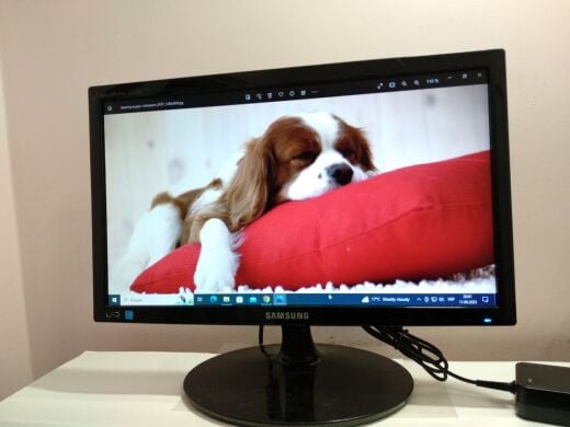 Монітор Samsung S19A300N / 18.5" (1366x768) TN / VGA + Блок живлення