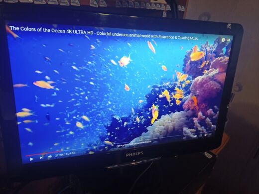 Монітор Philips E-line 202EL2SB / 20" (1600x900) TN / VGA, DVI / VESA 100x100