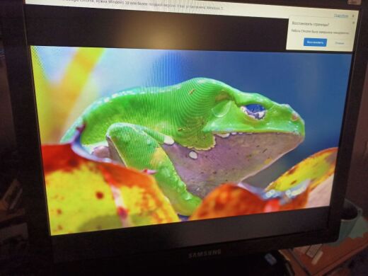 Комплект ПК: LogicPover Tower / AMD Athlon II X4 631 (4 ядра по 2.6 GHz) / 8 GB DDR3 / 120 GB SSD NEW + 250 GB HDD / nVidia GeForce GT 640, 2 GB DDR3, 128-bit + Монитор Samsung SyncMaster 970P / 19" (1280x1024) TN / 1x DVI