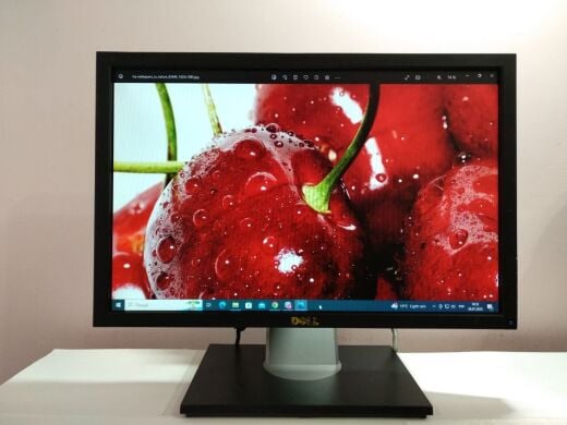 Монітор Dell Professional P1911b / 19" (1440x900) TN / DVI, VGA, USB / VESA 100x100