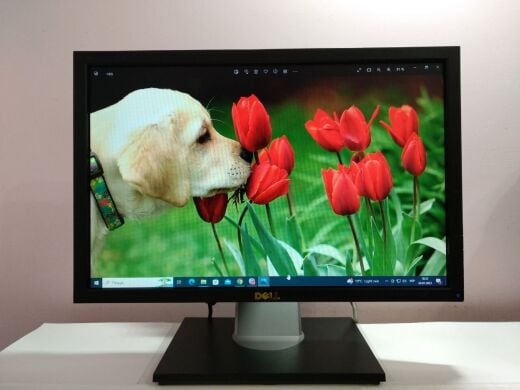 Монітор Dell Professional P1911b / 19" (1440x900) TN / DVI, VGA, USB / VESA 100x100